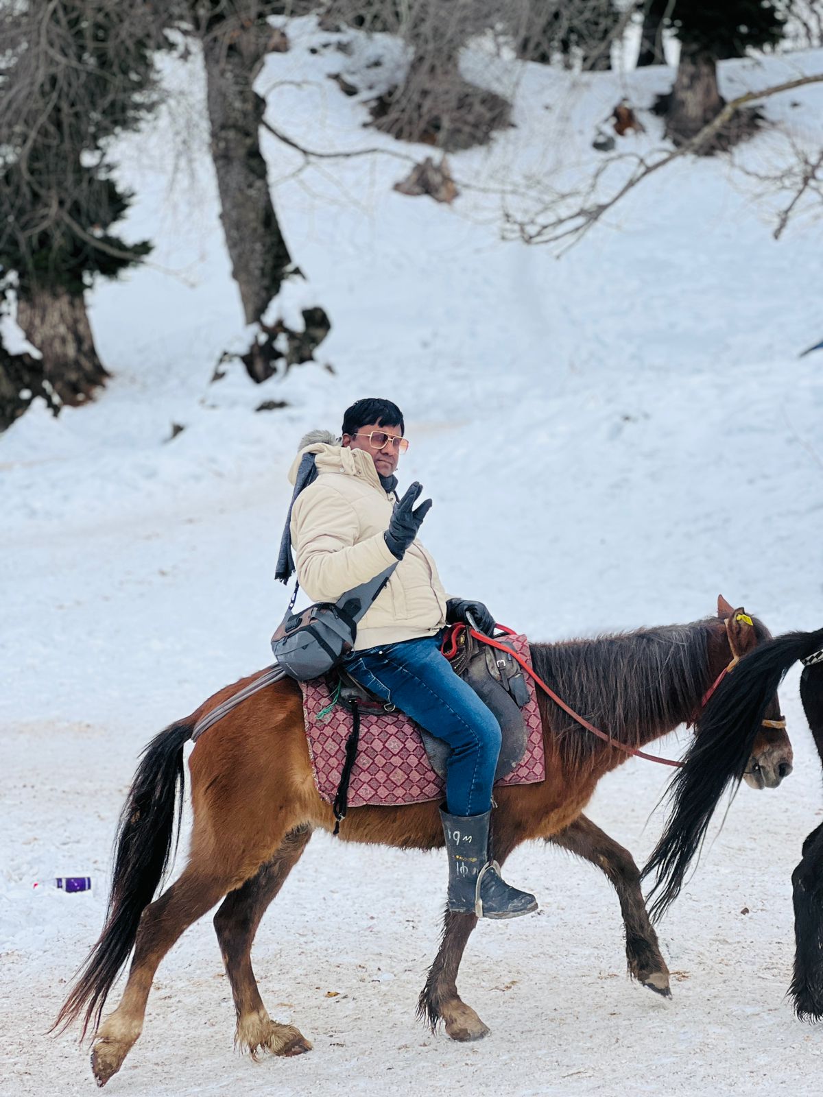 Gulmarg Snow Package