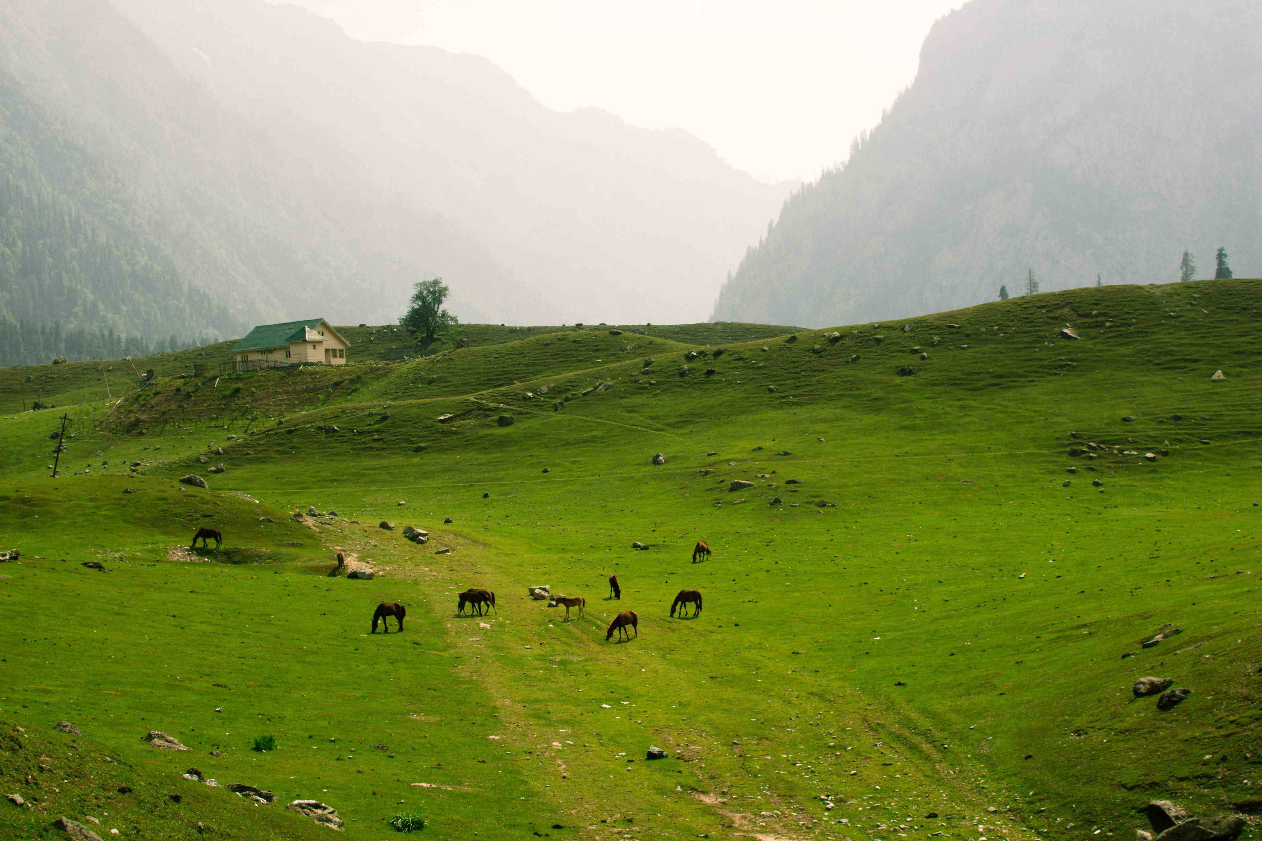 Sonamarg